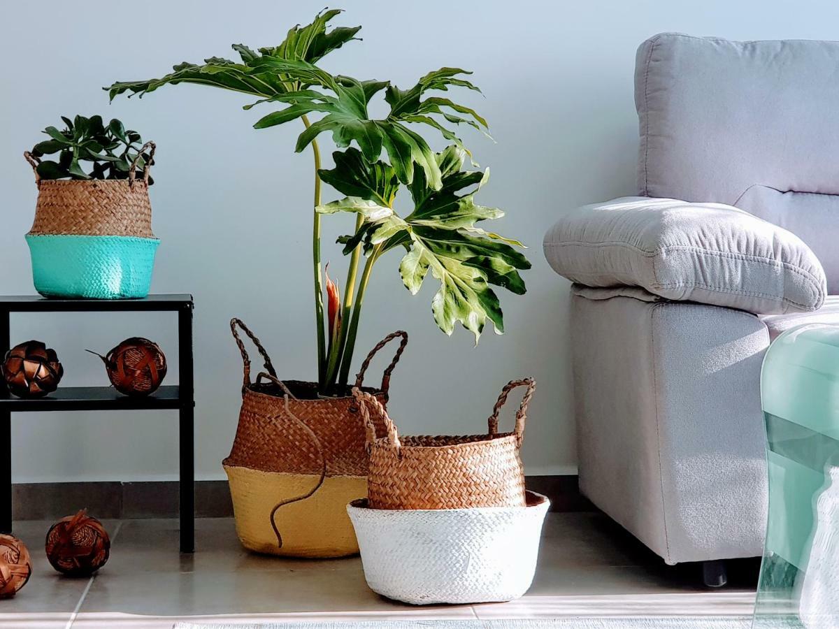 Artichoke Boutique Lejlighed Haifa Eksteriør billede